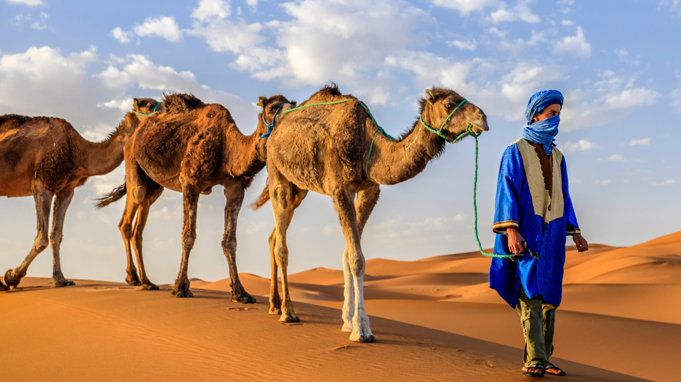 Overnight Merezouga Camel Trekking