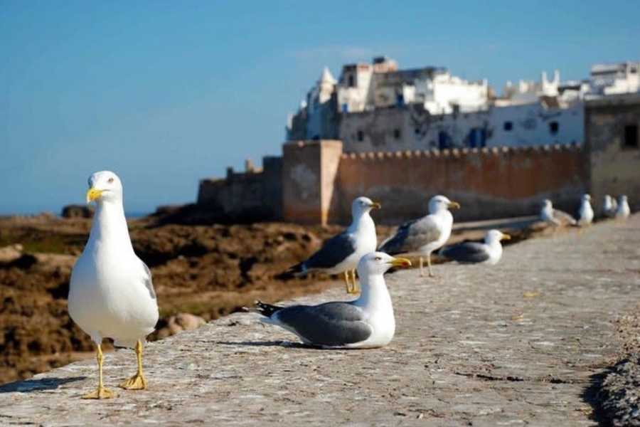 10 DAYS GRAND TOUR FROM MARRAKECH