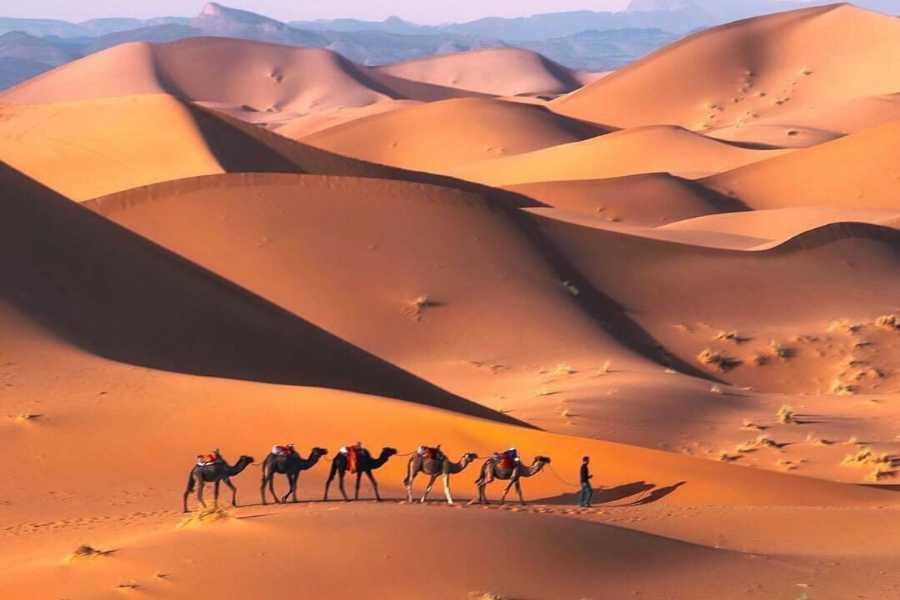 6 Days Tours From Marrakech to the Desert